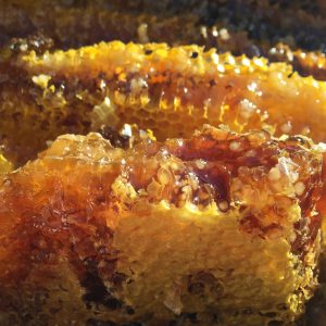 soil-honey-1534287_1920